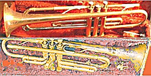 Instrument