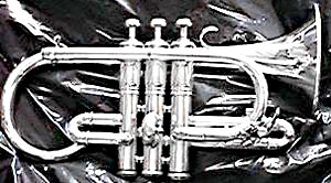 Instrument