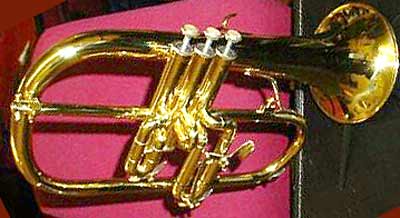 Instrument