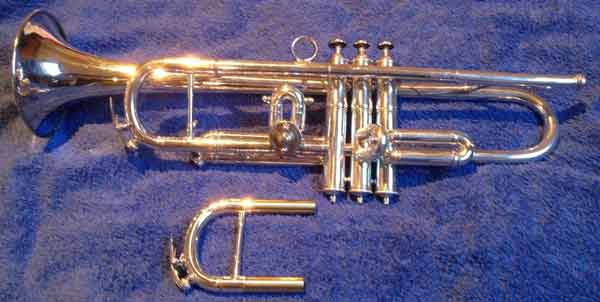 Brown Trumpet