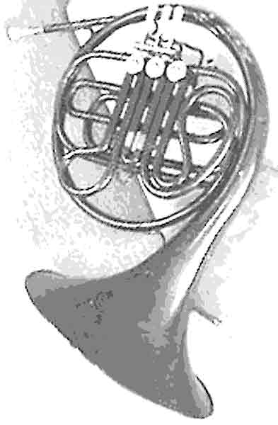Instrument