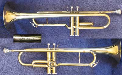 Schenkelaars Bugle