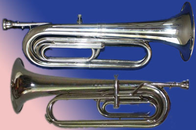 Schenkelaars Bugle