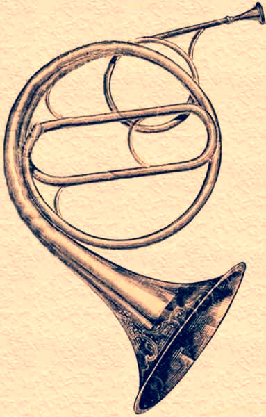 Conn   French Horn