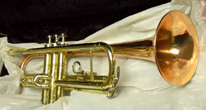 Instrument
