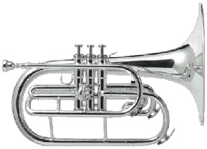 Instrument