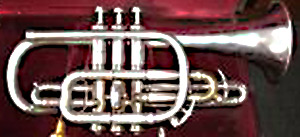 Instrument