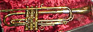 Instrument
