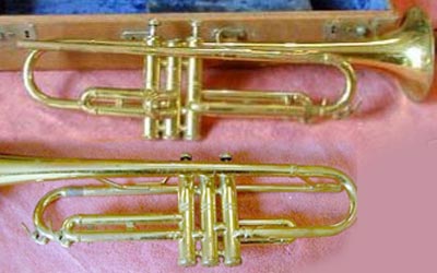 Elkhorn Trumpet