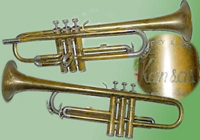 Grey Trumpet