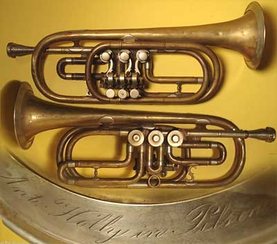 Holly  Trumpet