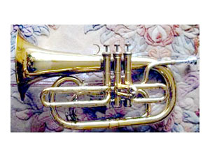 Instrument
