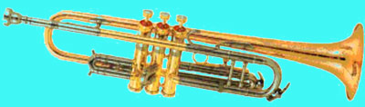 Instrument