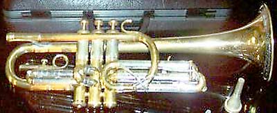 Instrument