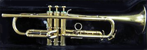 Instrument