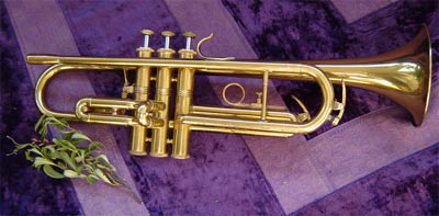 Polmuz   Trumpet