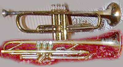 Instrument