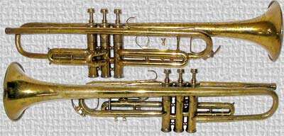 Royal  Trumpet