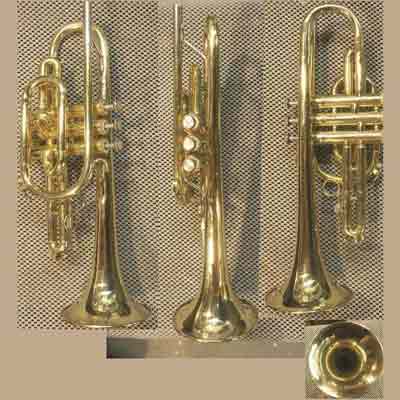 Instrument