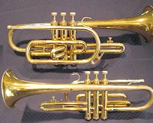 Instrument