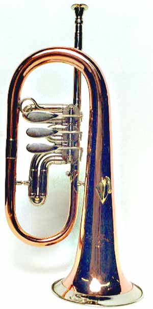 Instrument