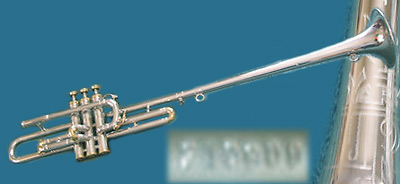 Instrument