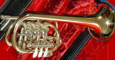 Haagston Trumpet